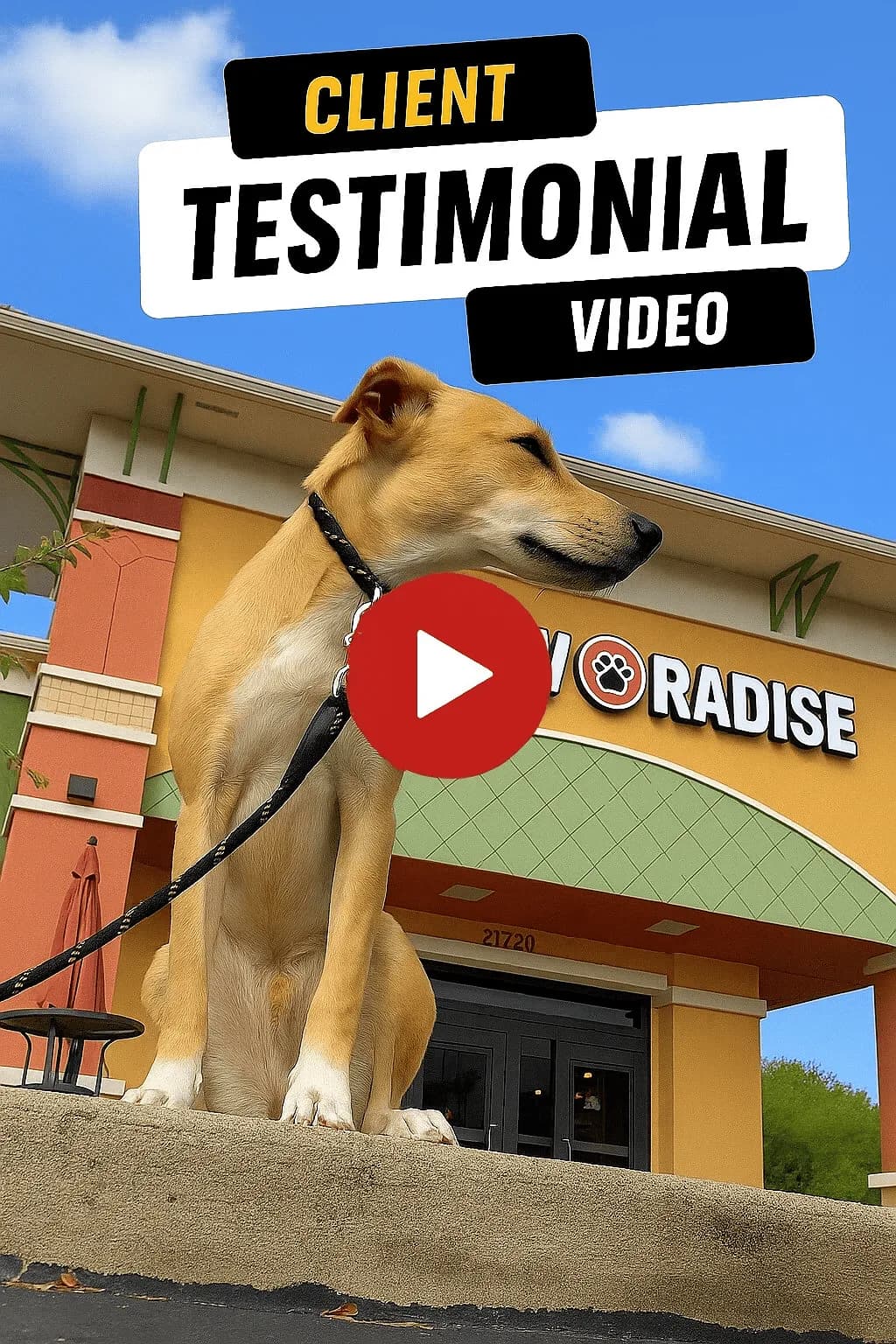 Gunner testimonial thumbnail